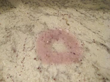 blueberry-counter-stain-in-